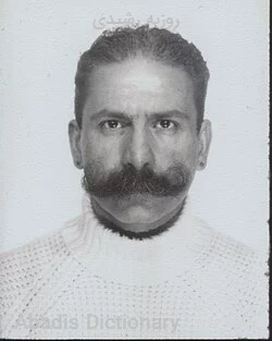 روزبه رشیدی